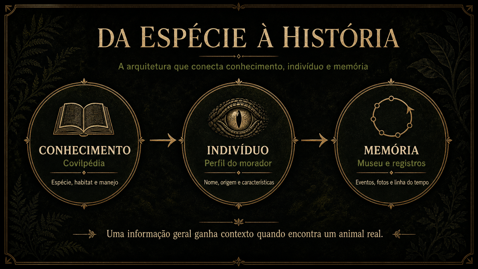 Fluxo da arquitetura do Covil: conhecimento na Covilpédia leva ao indivíduo no perfil do morador, que leva à memória no Museu e nos registros